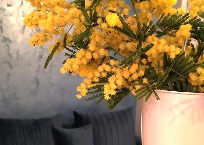 Apartament Blue Skies